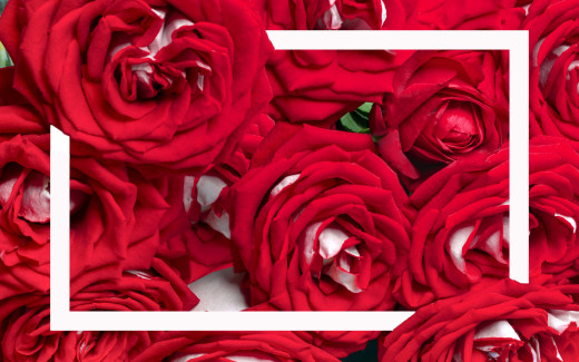 1483618 (a): :2880x1800